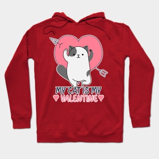 My Cat Is My Valentine Hoodie